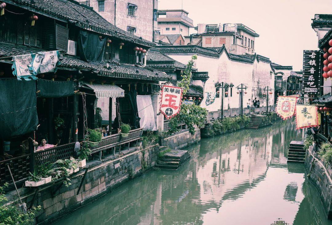 小恐龙来找茬